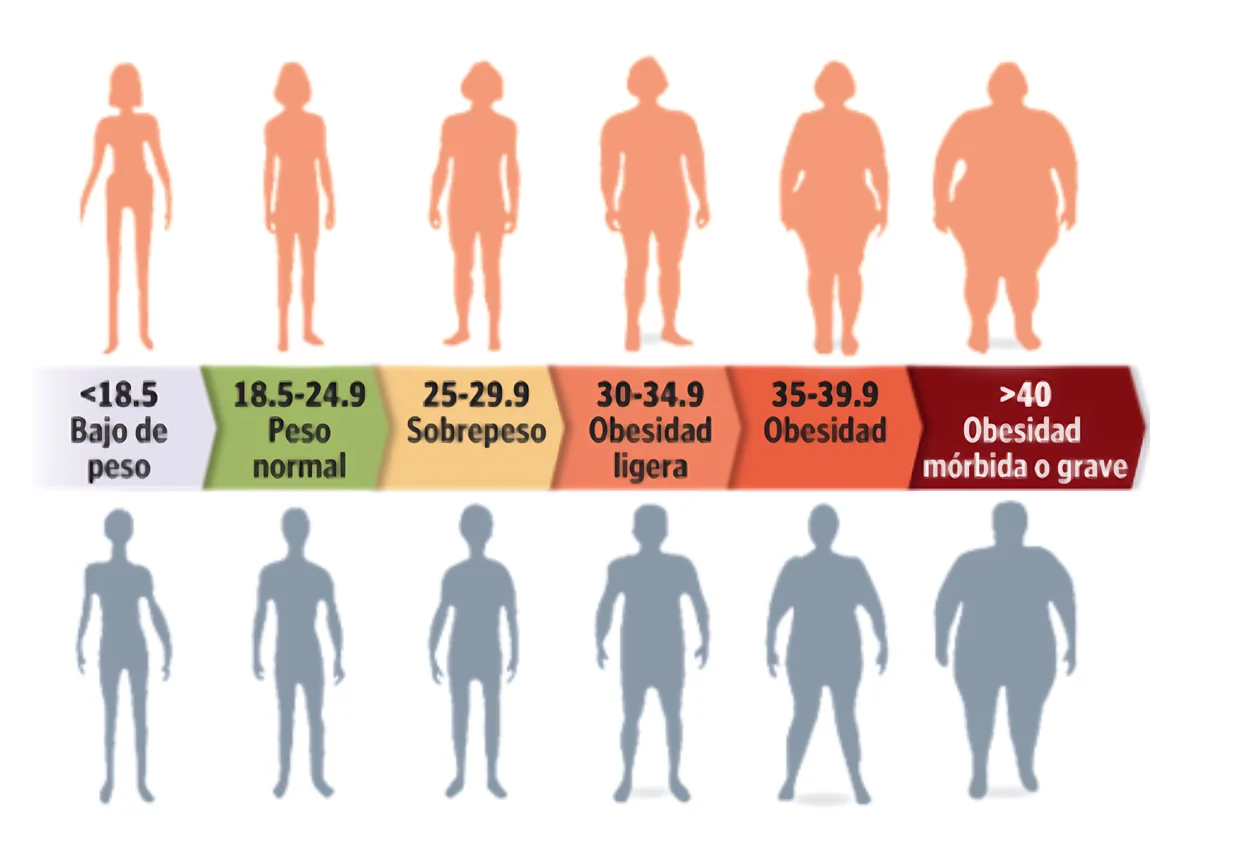 Cómo la obesidad y el sobrepeso afectan la columna lumbar